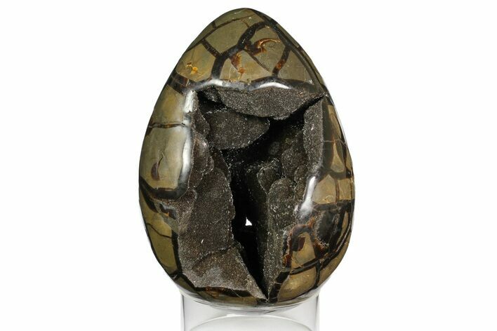 Septarian Dragon Egg Geode - Black Crystals #158336